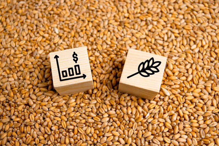 Wheat exports doubles to USD 1.48 bn in April-September
